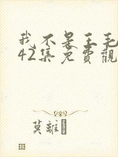 我不是王毛1至42集免费观看电视剧