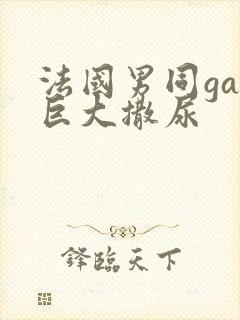 法国男同gay巨大撒尿封面