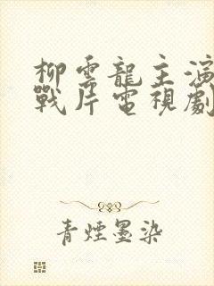 柳云龙主演的谍战片电视剧大全集