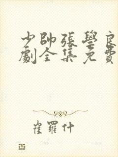 少帅张学良电视剧全集免费观看高清封面