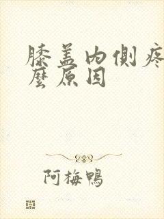 膝盖内侧疼痛什么原因