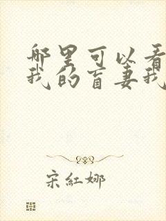 哪里可以看全集我的盲妻我的心短剧