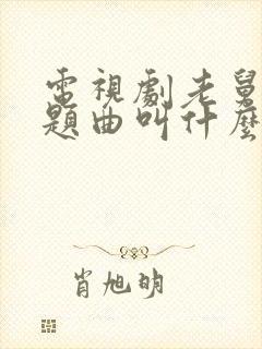 电视剧老舅的主题曲叫什么