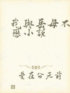 我与岳母不伦之恋小说封面