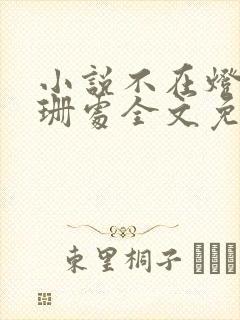 小说不在灯火阑珊处全文免费阅读
