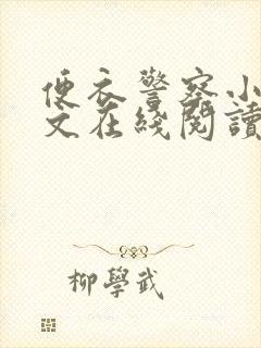 便衣警察小说全文在线阅读