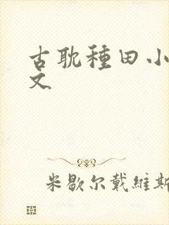 古耽种田小说推文