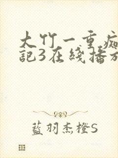 大竹一重痴汉日记3在线播放