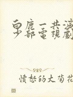 白鹿一共演过多少部电视剧