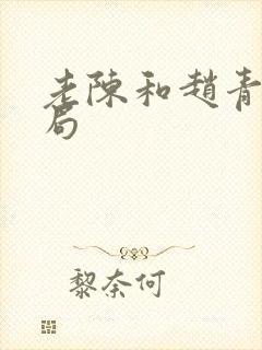 老陈和赵青的结局封面