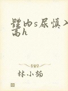 体内s尿慎入h高h