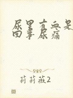 尿里有血是怎么回事尿痛封面