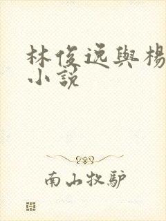 林俊逸与杨钰莹小说