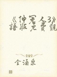 《伸冤人3》国语版免费观看