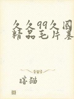 久久99久国产精品毛片基地