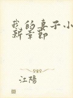 我的妻子小说最新章节