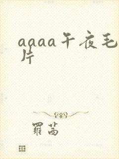 aaaa午夜毛片