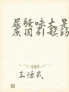 尿骚味大是什么原因引起的