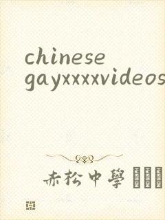 chinesegayxxxxvideoscom
