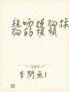 亲吻摸胸揉胸揉胸的视频