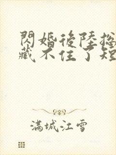 闪婚后陆总马甲藏不住了短剧封面