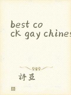 best cock gay chinese