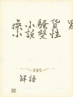 操小骚货 男男小说双性