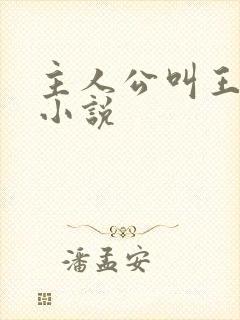 主人公叫王宇的小说封面