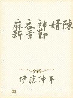 麻衣神婿陈黄皮新章节