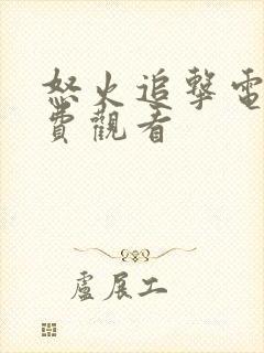 怒火追击电影免费观看