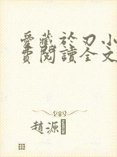 爱藏于刃小说免费阅读全文最新章节