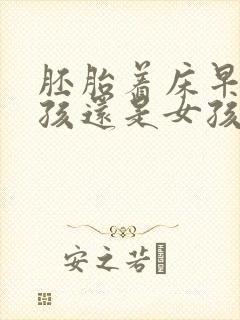 胚胎着床早是男孩还是女孩