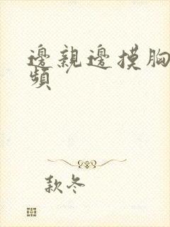 边亲边摸胸的视频