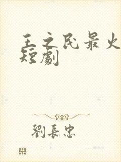 王之民最火十部短剧封面