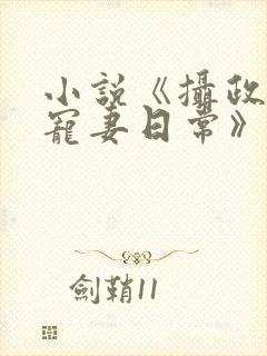 小说《摄政王的宠妻日常》