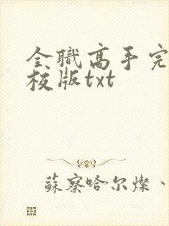 全职高手完整精校版txt