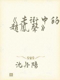 《老街中的痞子赵凤声》