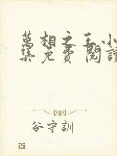 万相之王小说全集免费 阅读