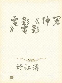 电影《伸冤人5》电影