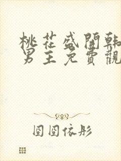 桃花盛开韩剧双男主免费观看