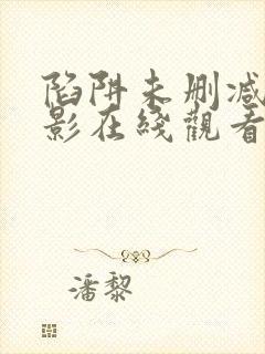 陷阱未删减版电影在线观看封面