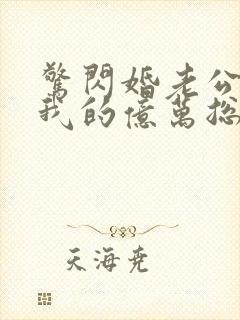 惊闪婚老公竟是我的亿万总裁封面