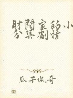 财阀家的小儿子分集剧情