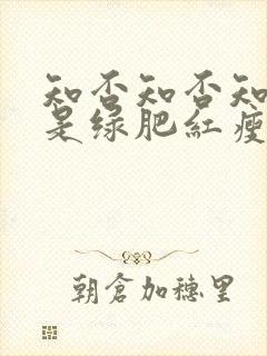 知否知否知否应是绿肥红瘦是哪个季节封面