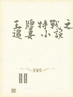 王牌特战之权少追妻 小说