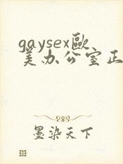 gaysex欧美办公室正装男