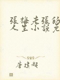 张梅老张的风流人生小说免费阅读