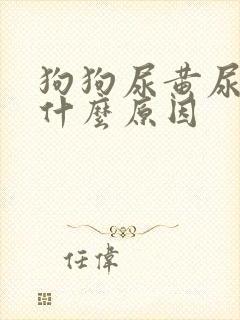 狗狗尿黄尿少是什么原因