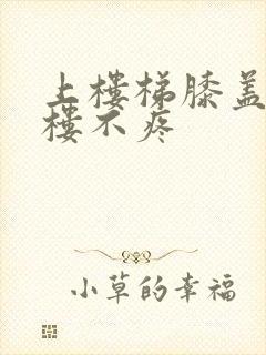 上楼梯膝盖疼下楼不疼封面