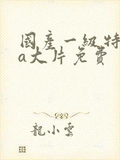 国产一级特黄aa大片免费